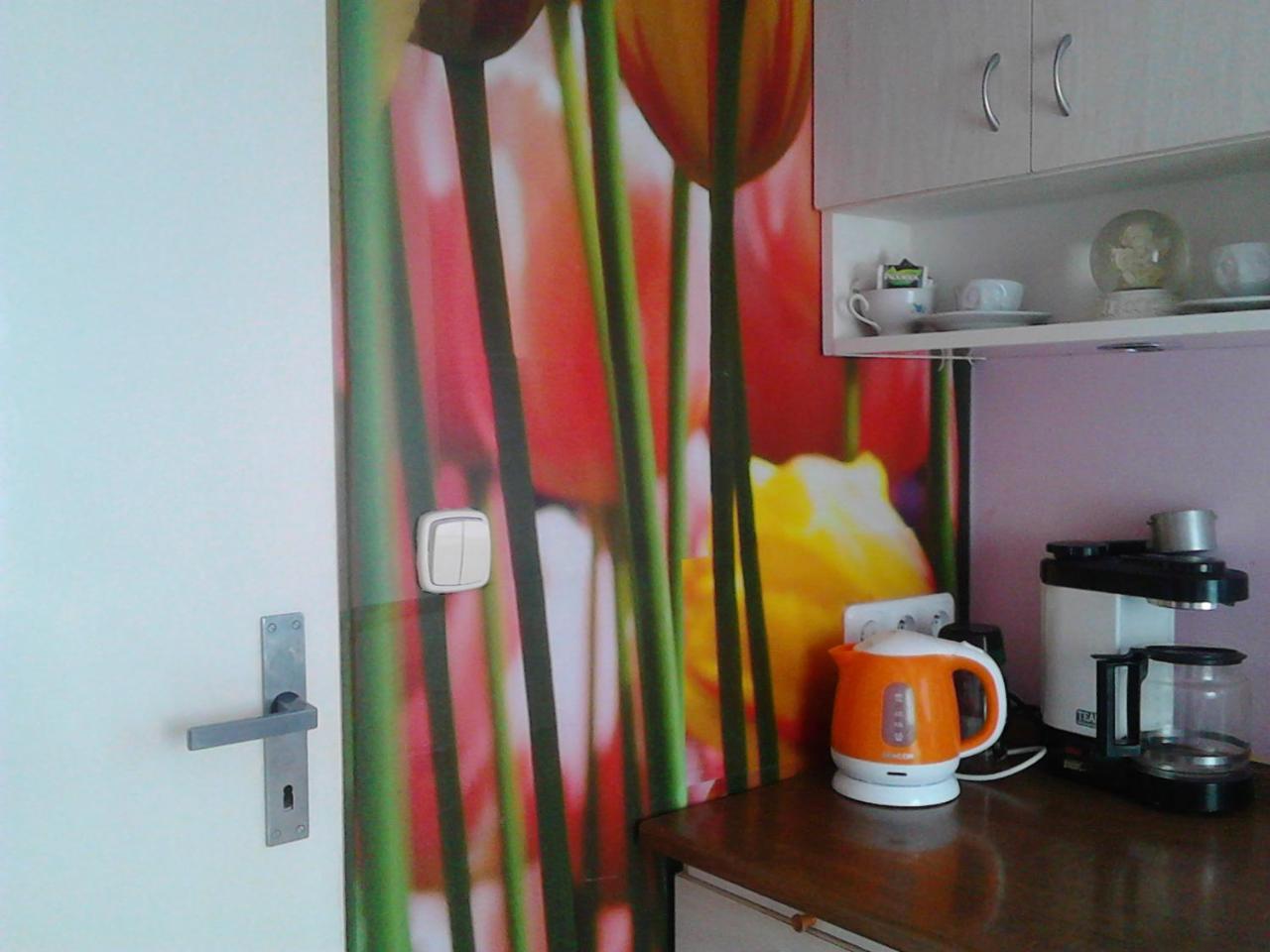 Apartmán Jiřetínská chaloupka Jiřetín pod Jedlovou Exteriér fotografie